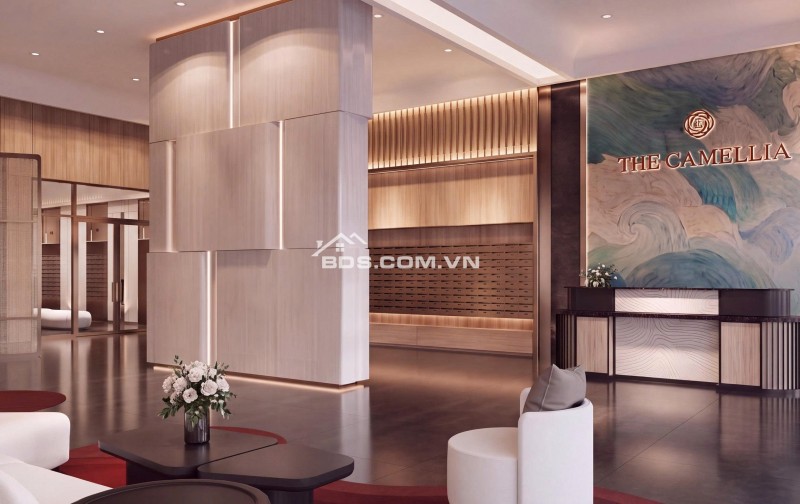 Căn hộ studio ven biển The Camellia chỉ 2,247 tỷ, chiết khấu lên đến 16%, hỗ trợ lãi suất lên đến 70% miễn lãi miễn gốc trong vòng 18 tháng